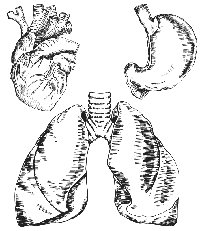 群展醫療儀器有限公司_84160544_yp-08.png
